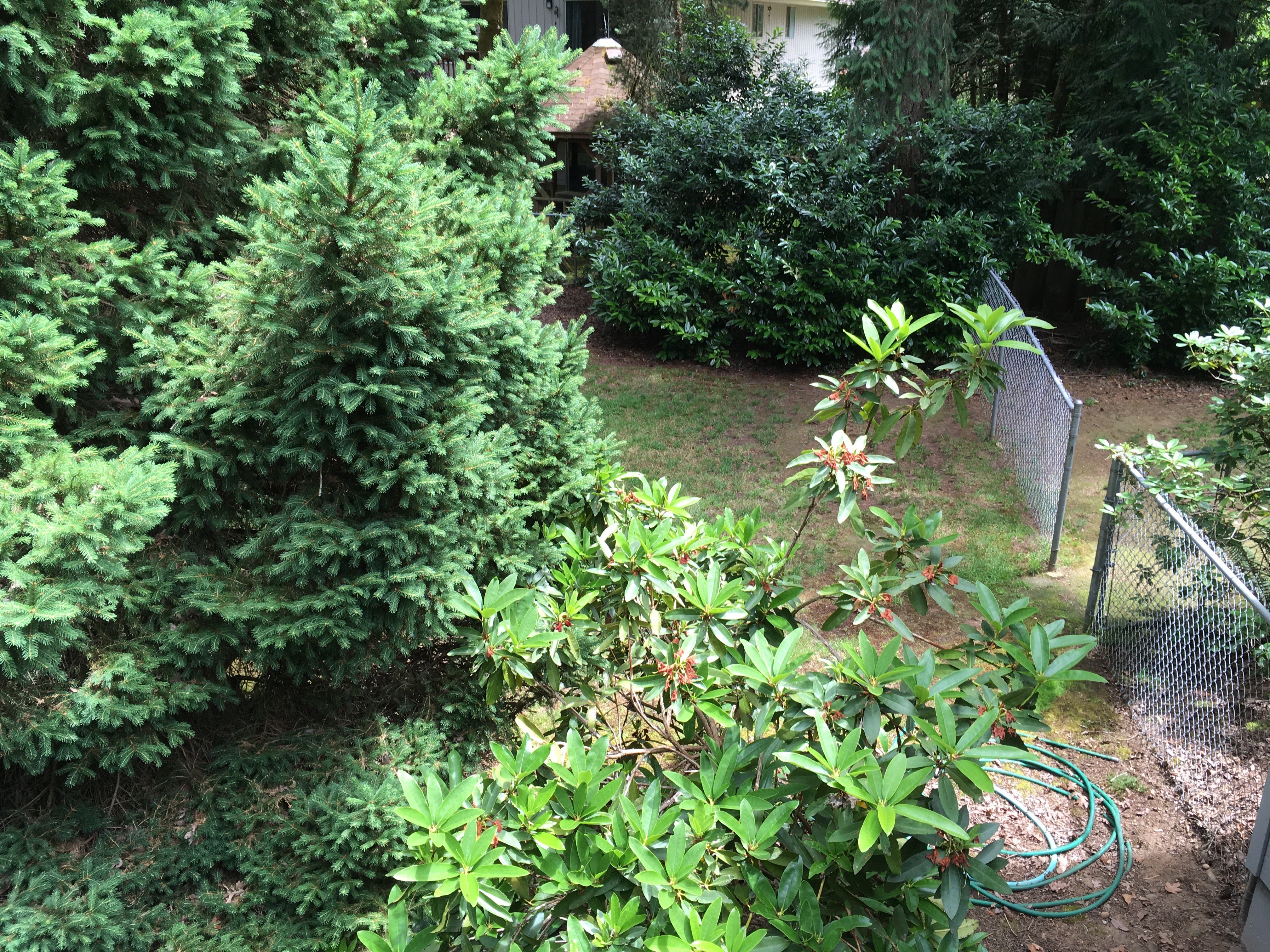 Before image