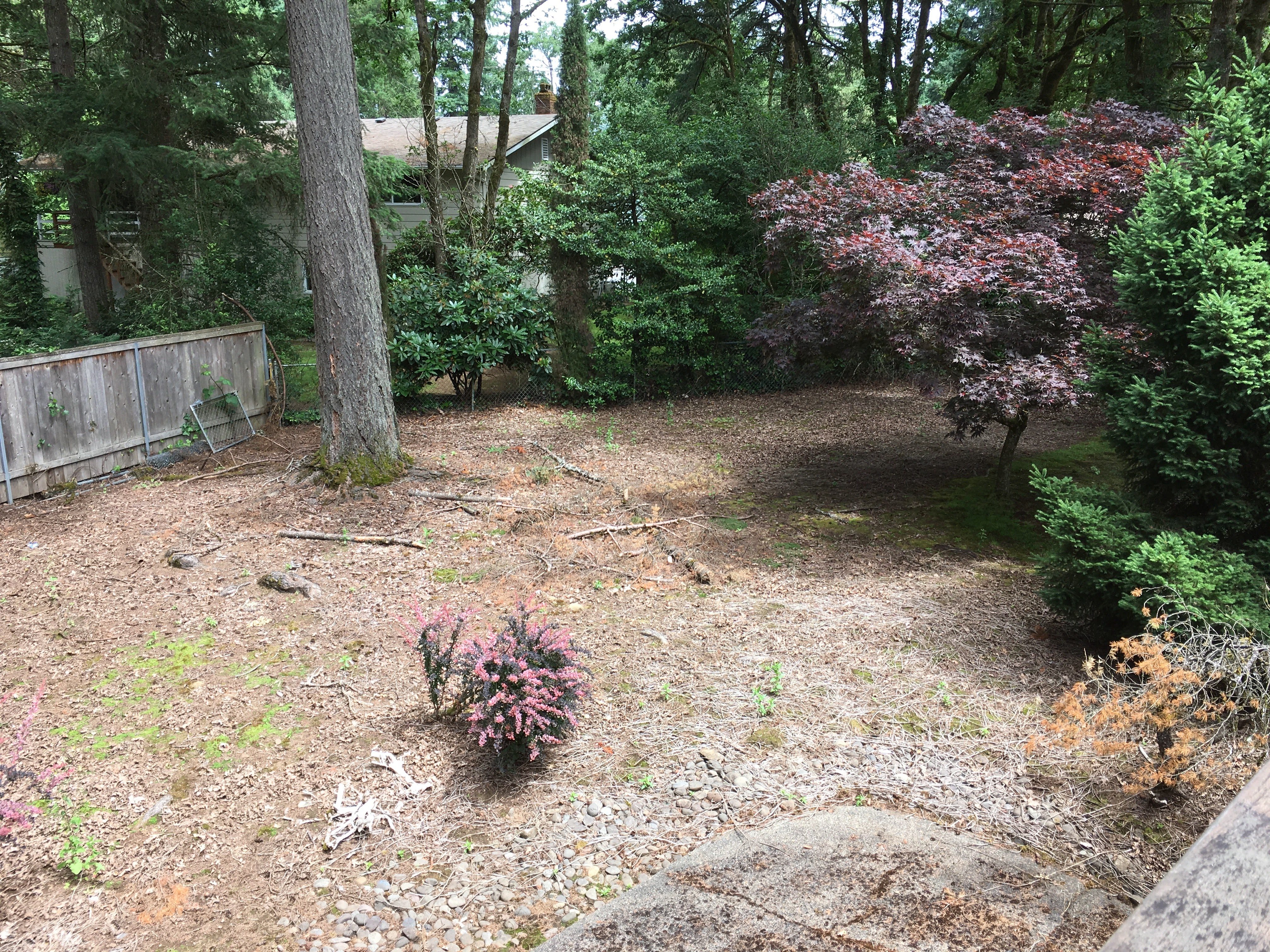 Before image