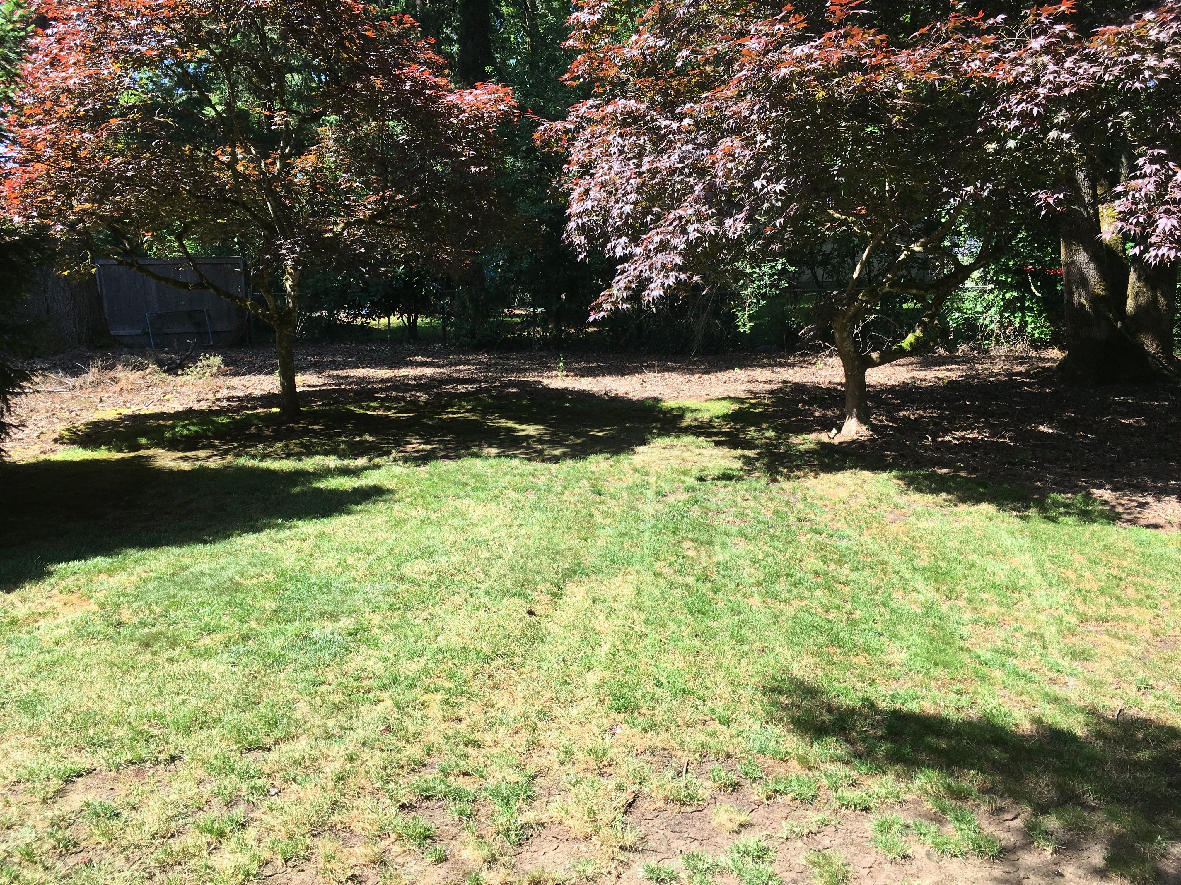 Before image