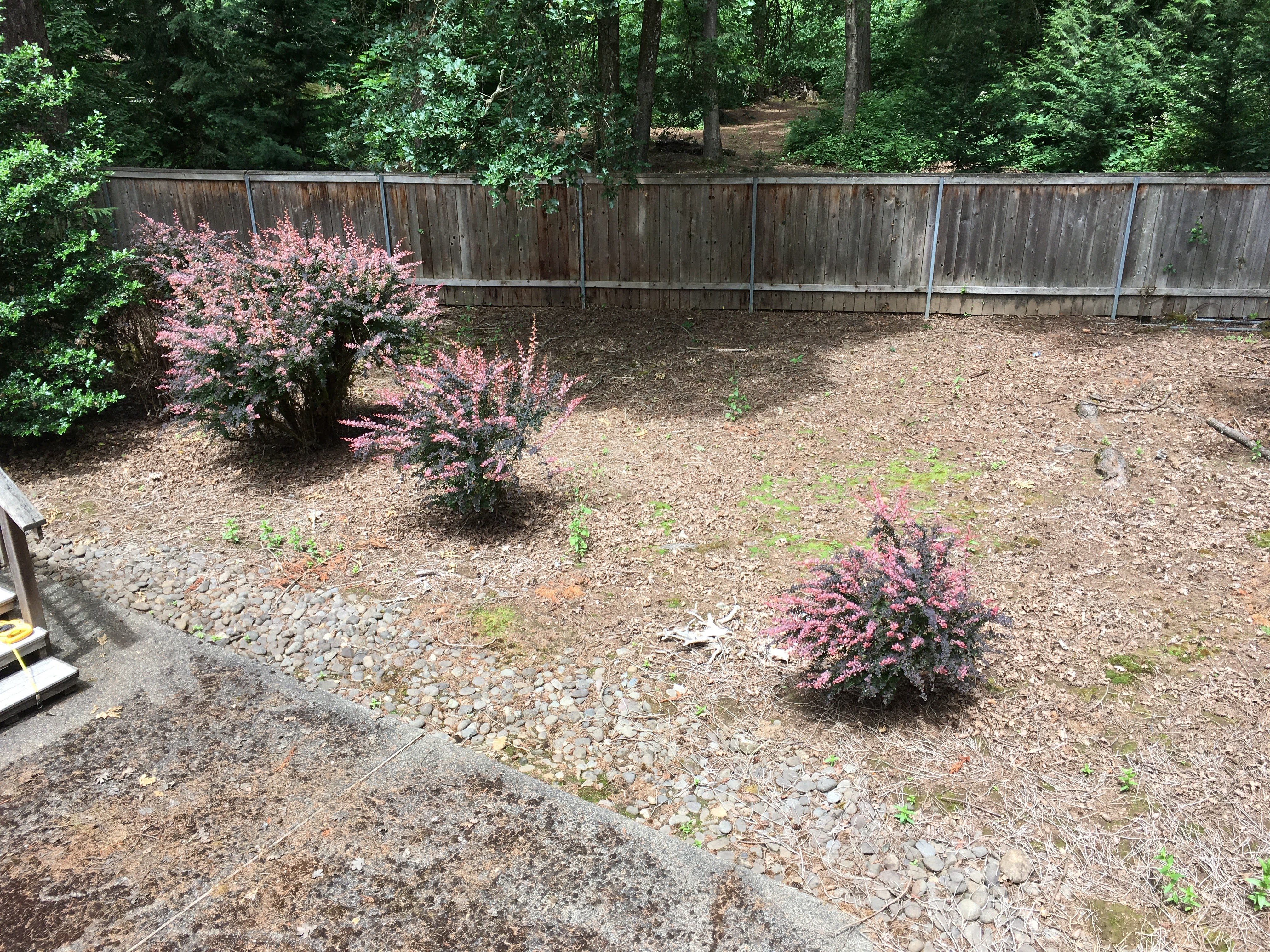 Before image
