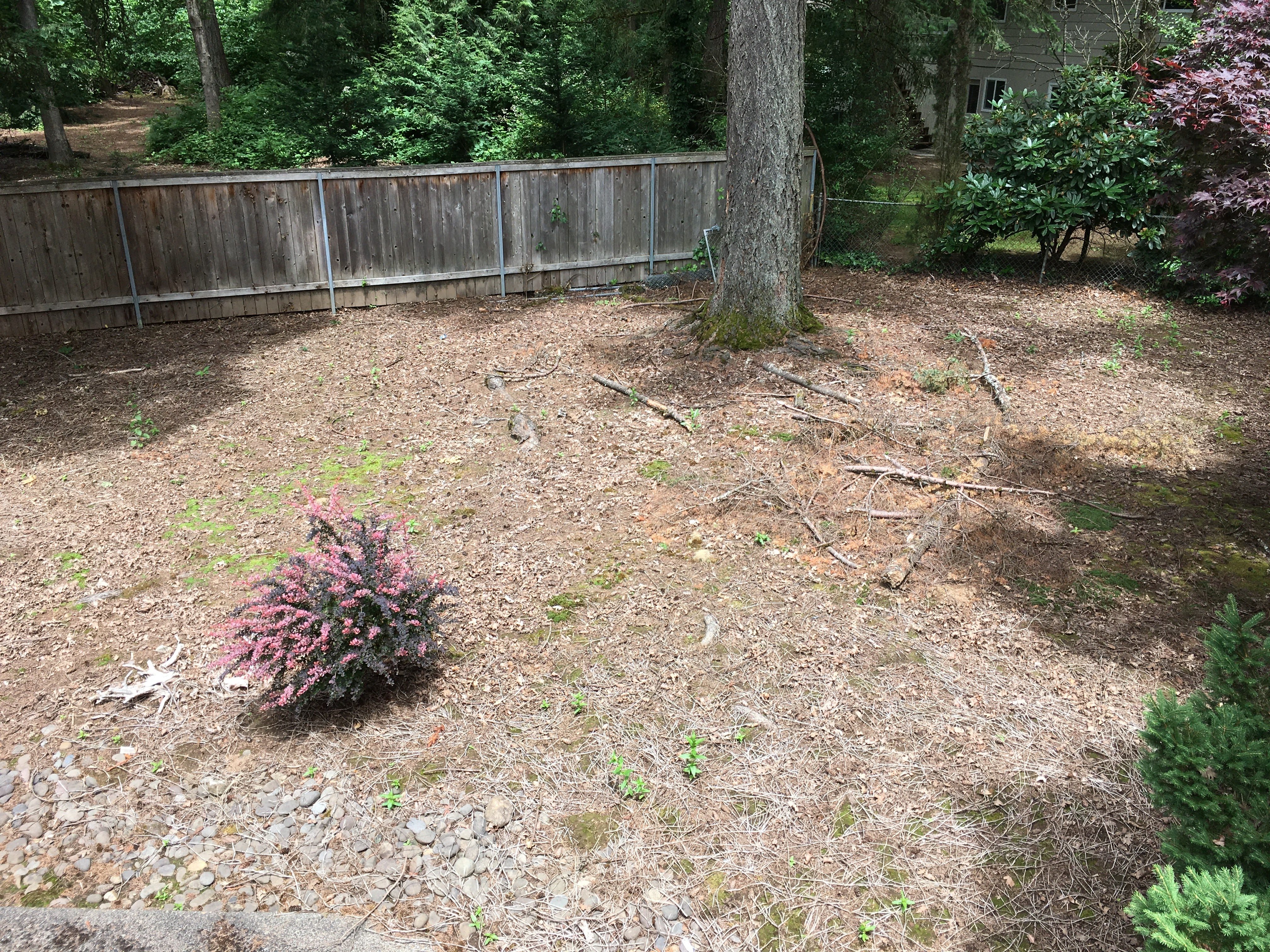 Before image
