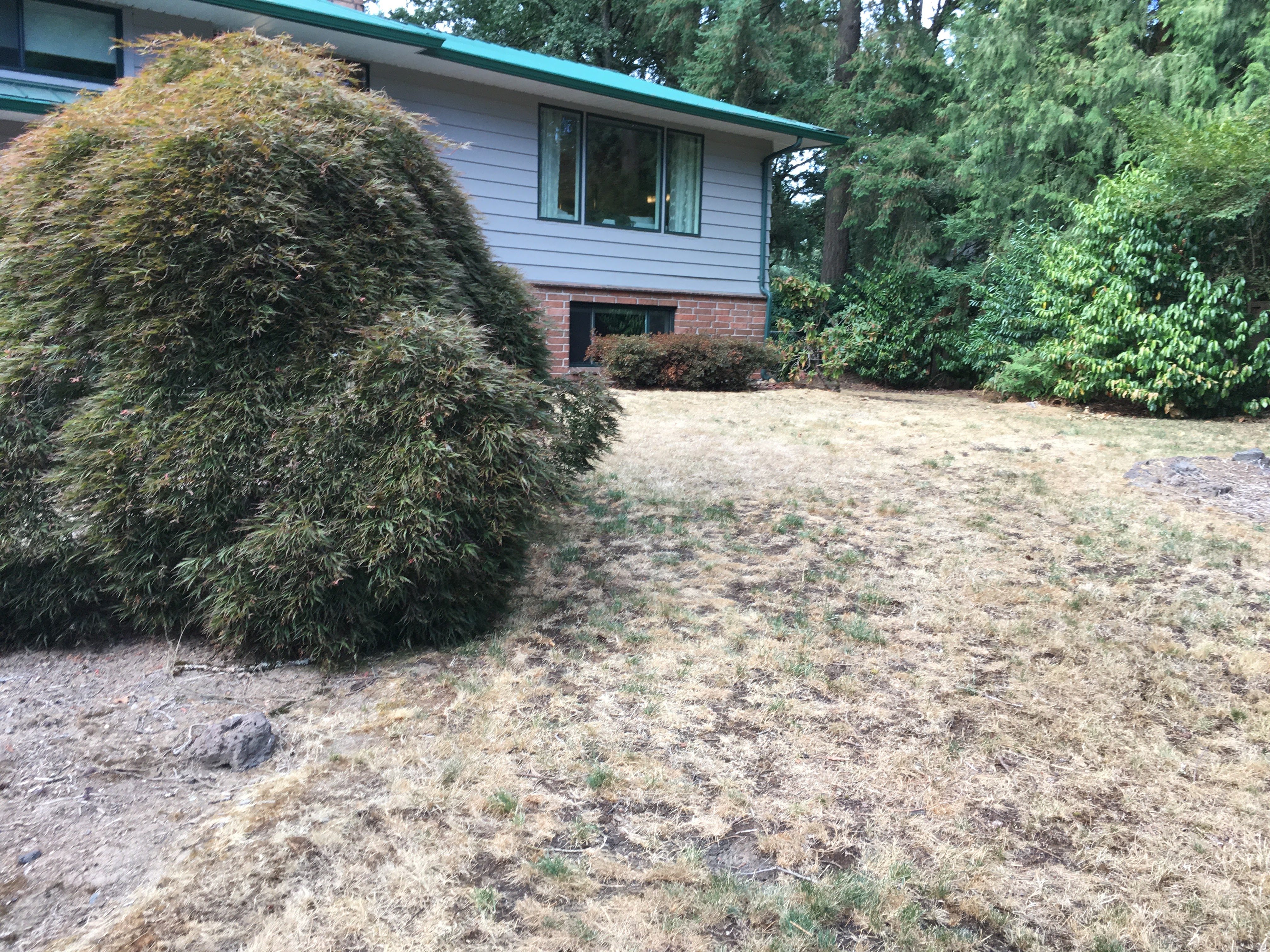 Before image