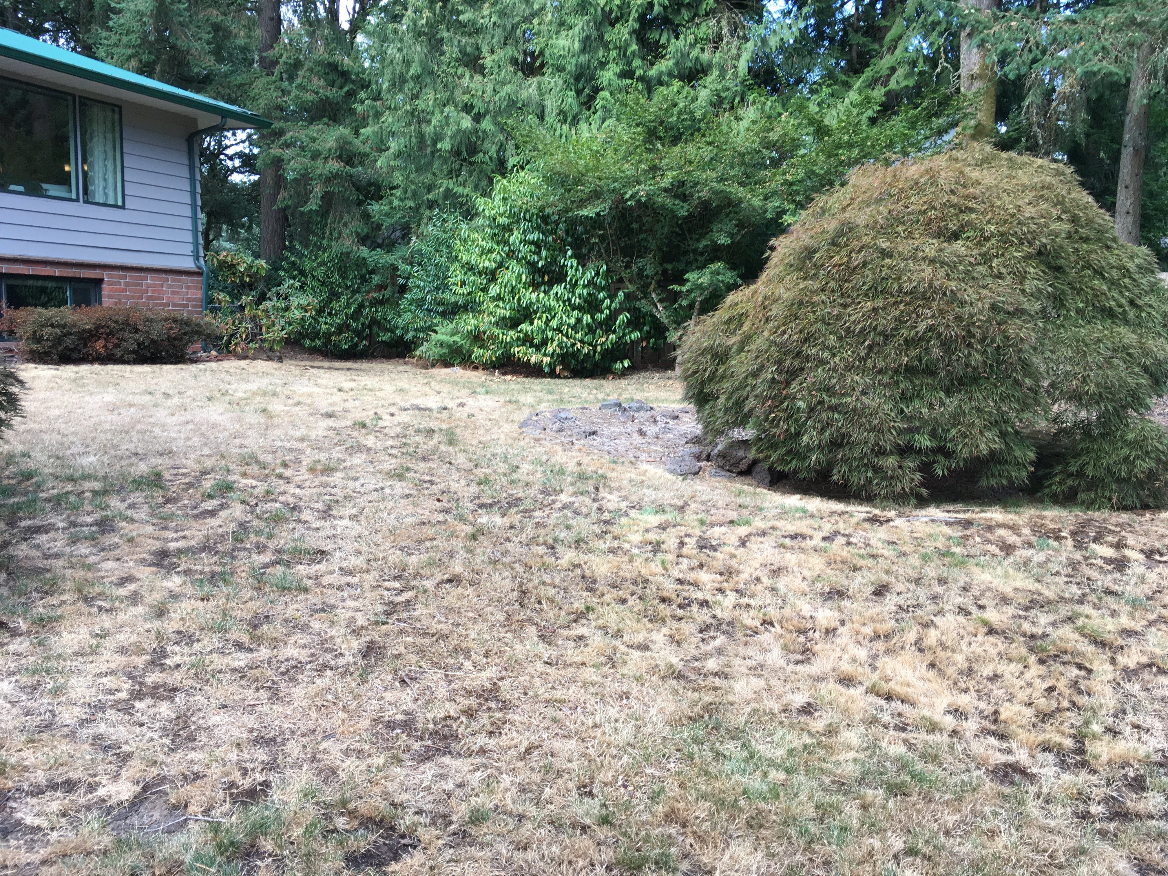 Before image