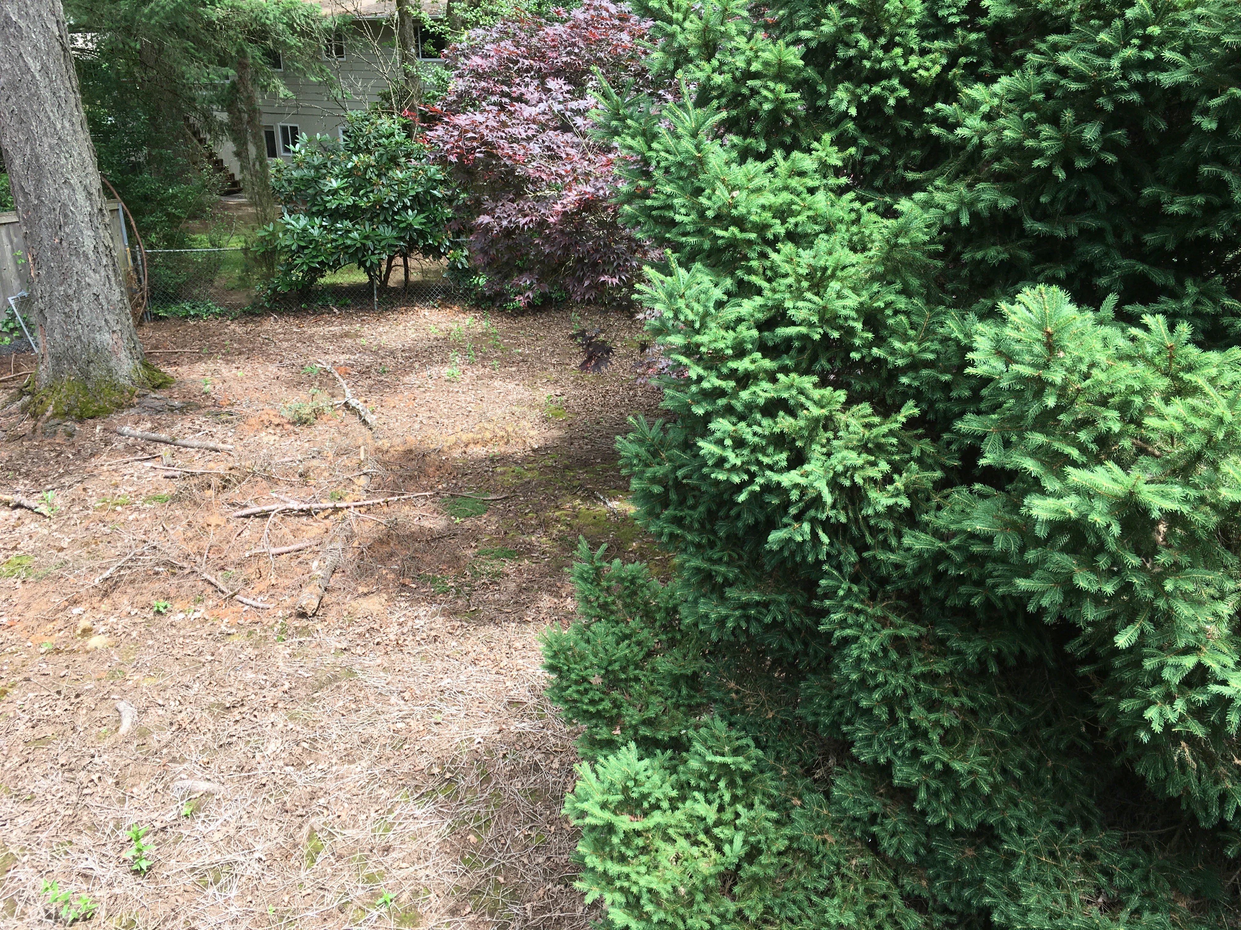 Before image