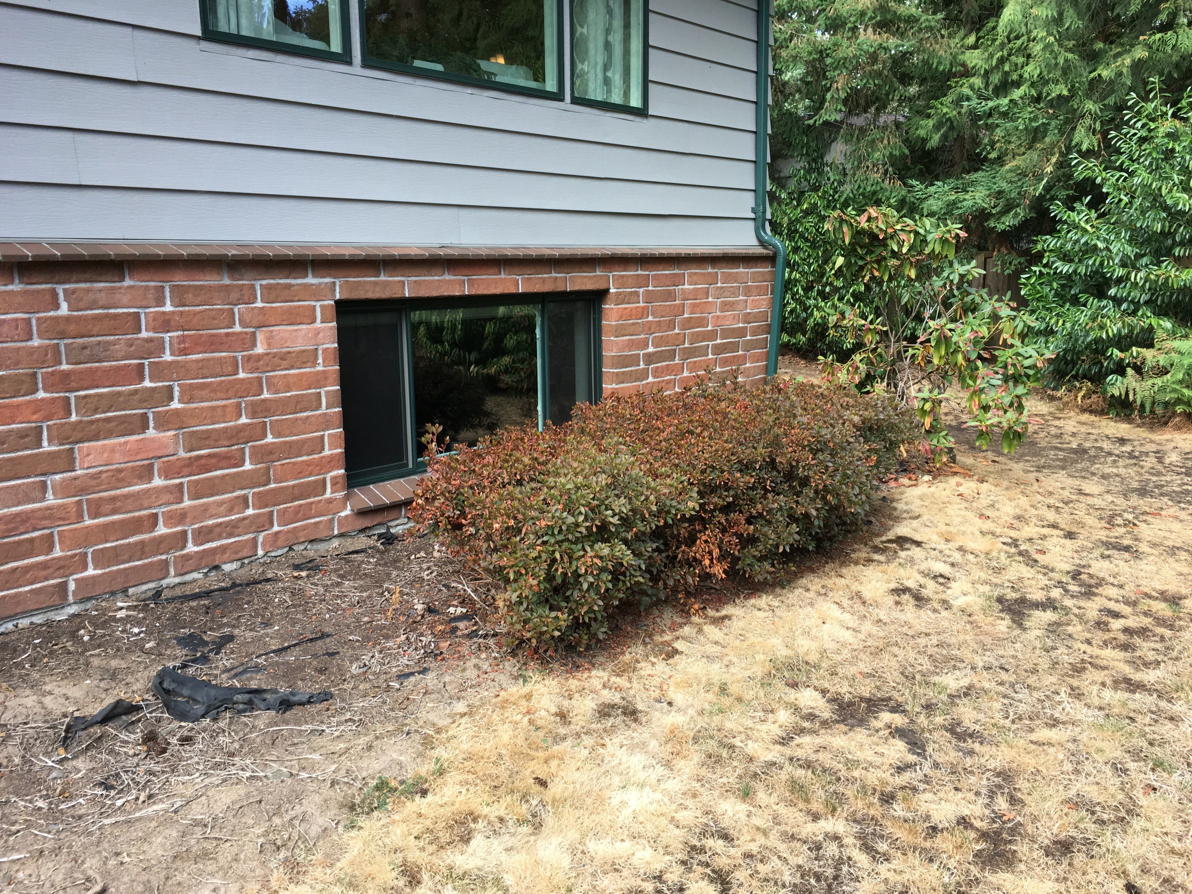 Before image