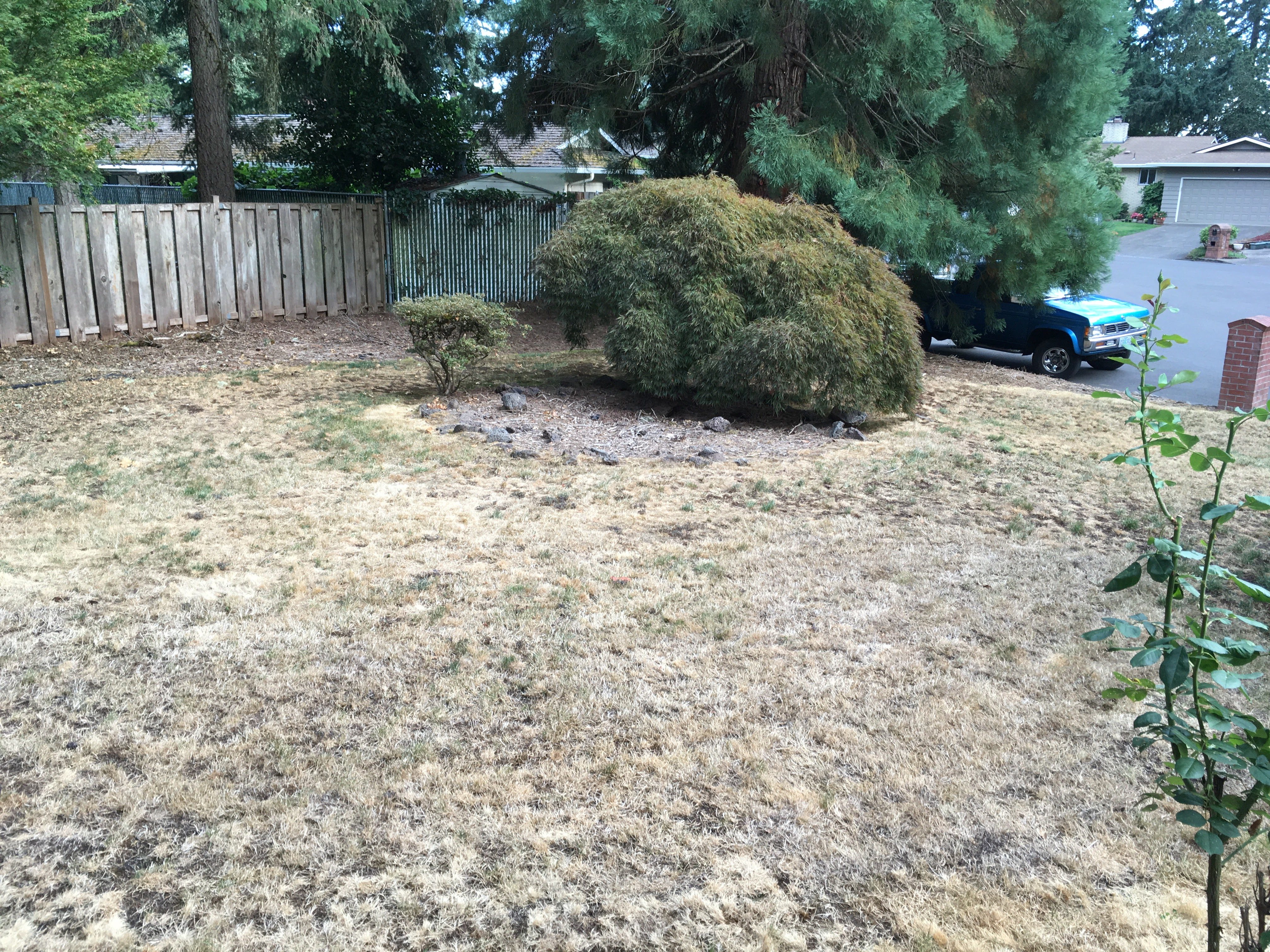 Before image