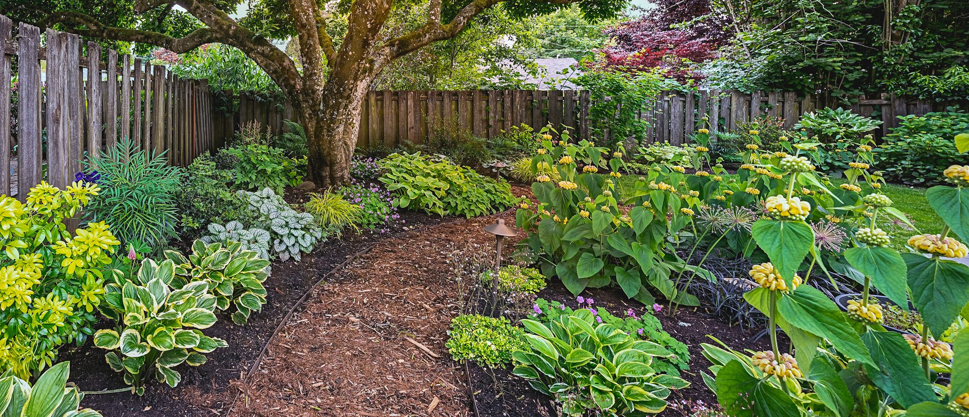 SE Flavel – Backyard